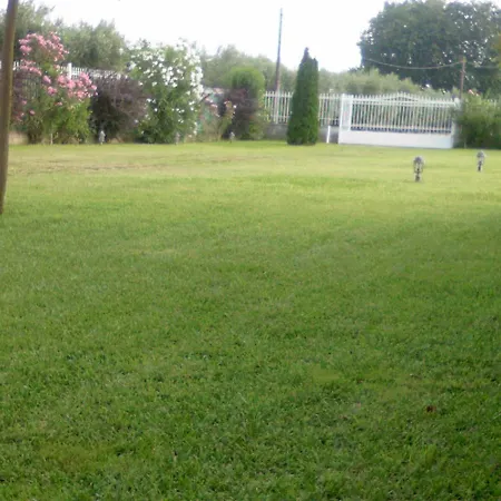 Silver Raches, Sky Kouvéla