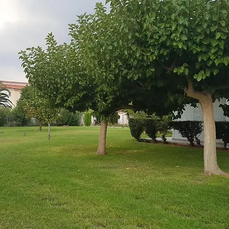 Silver Raches, Sky *